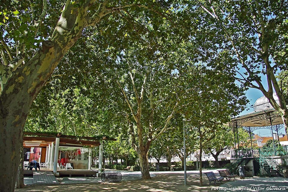 Árvores e coreto no Jardim Municipal Constantino Palha