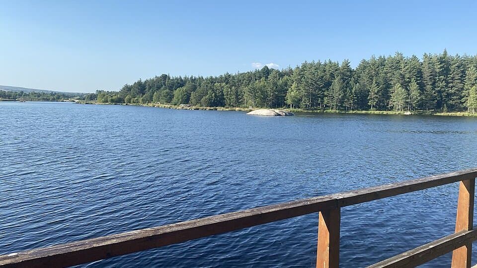 Lagoa do Alvão e margem arborizada, no concelho de Vila Pouca de Aguiar
