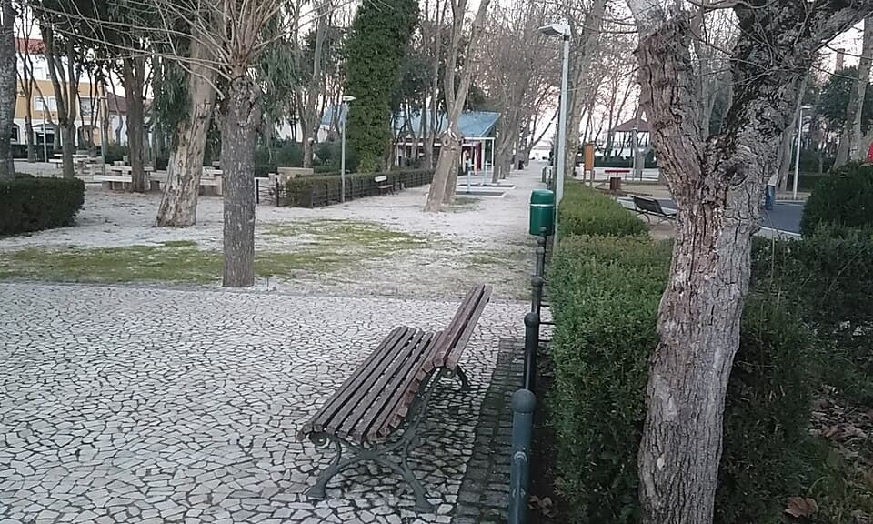 Caminhos, bancos e árvores na Mata Municipal de Vila Viçosa