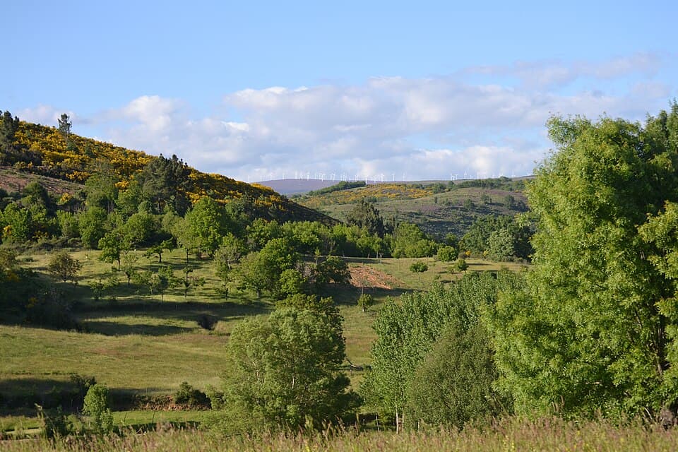 Vale verde, árvores e encostas floridas na paisagem de Santa Cruz, Vinhais